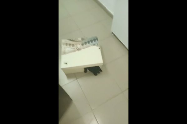 Ссылка на сайт кракен в тор