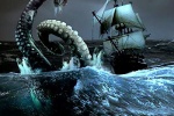 Kraken site