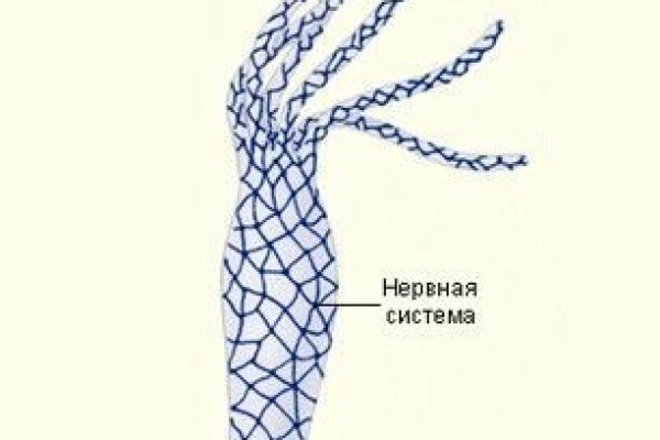 Купон кракен даркнет