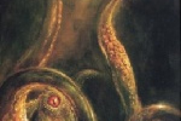 Кракен не приходят деньги