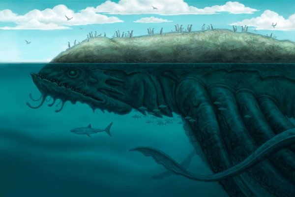 Kraken гидра