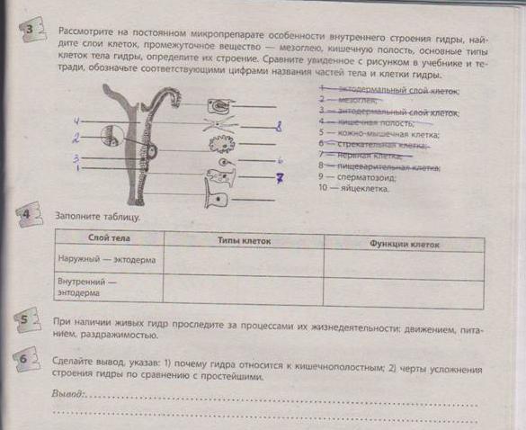 Не заходит на кракен